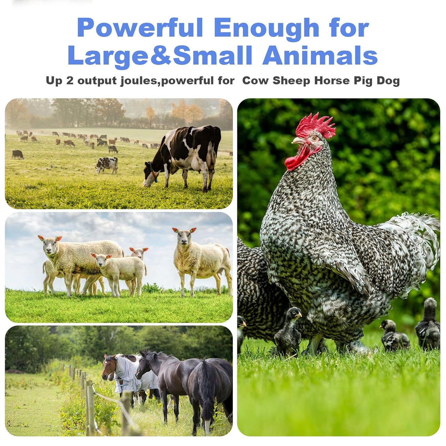10KM Electric Fence Fencing Device Electric Fence for Animals Poultry Breeding Shepherd Waterproof Fencing Tool (Black)