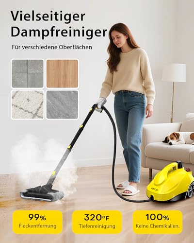 Aparat curatat cu abur 23 accesorii + cablu 5 m, pentru cuptoare si