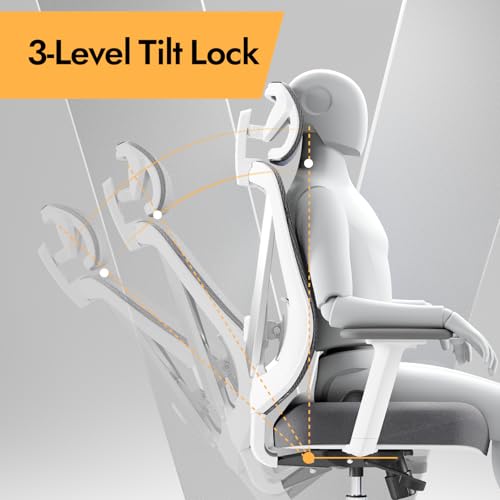 Scaun birou ergonomic HOLLUDLE Mesh alb + Suport lombar 3D + Brate 3D reglabile