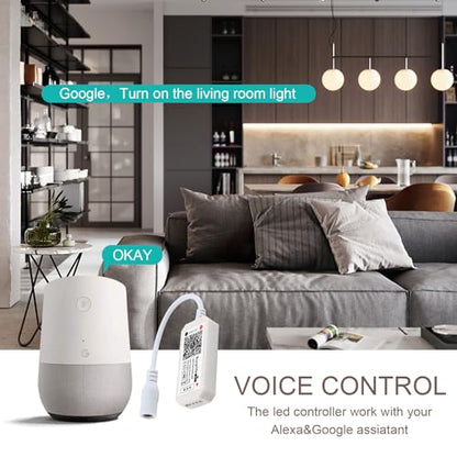 Controller WiFi RGB 4 Pin RGBZONE + RF, DC 5/12/24V, control vocal