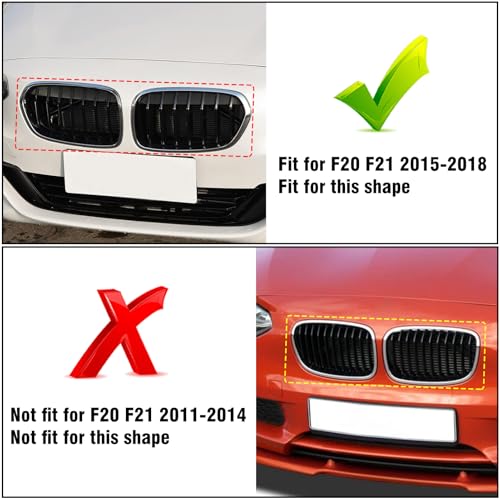 Grila fata dubla F20/F21 2015-2018 TTCR-II, finisaj gloss black