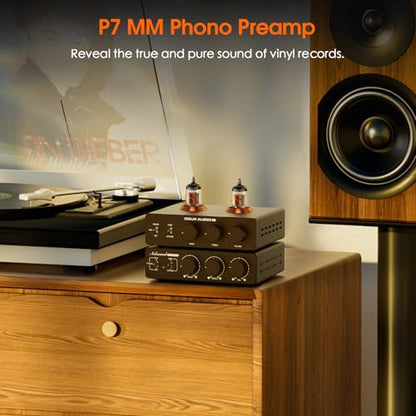 Preamplificator Phono ECC83 MM Bypass Balanced XLR High-pass Bass/Treble