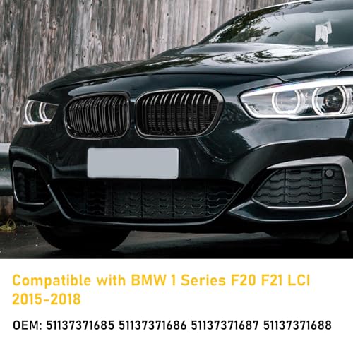 Grila fata dubla F20/F21 2015-2018 TTCR-II, finisaj gloss black