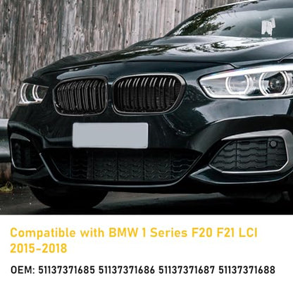 Grila fata dubla F20/F21 2015-2018 TTCR-II, finisaj gloss black