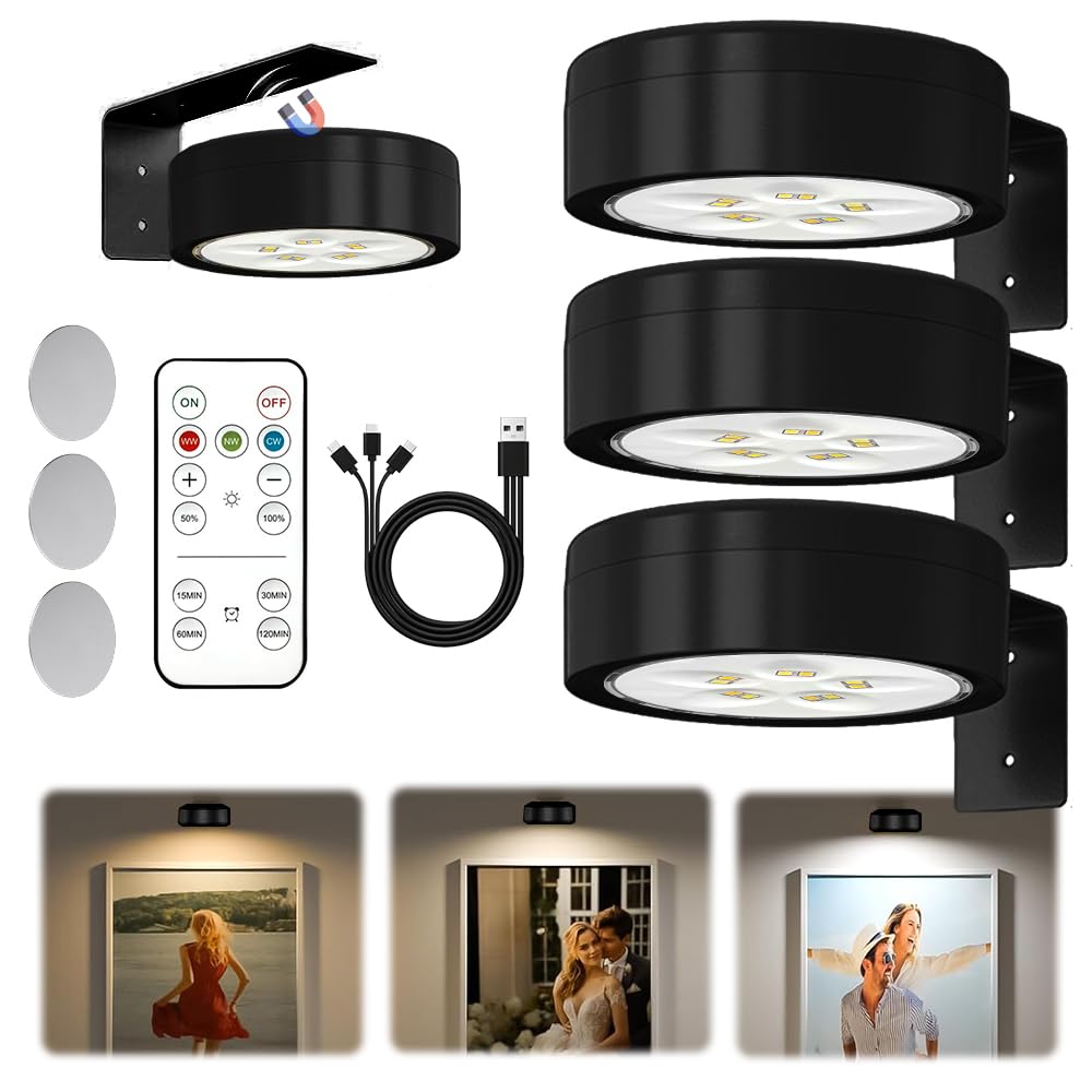 Lampa LED RIRIDAMAI Wireless Painting Lights 3 bucati cu telecomanda