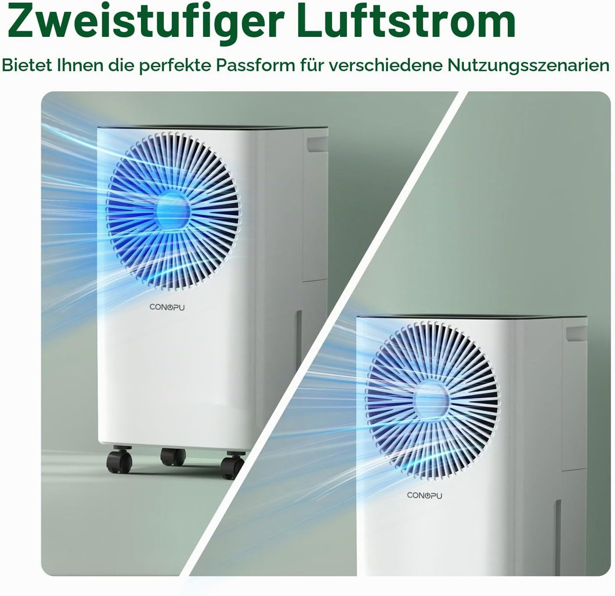 Dezumidificator CONOPU 12 L/zi cu temporizator 24 h si drenaj continuu
