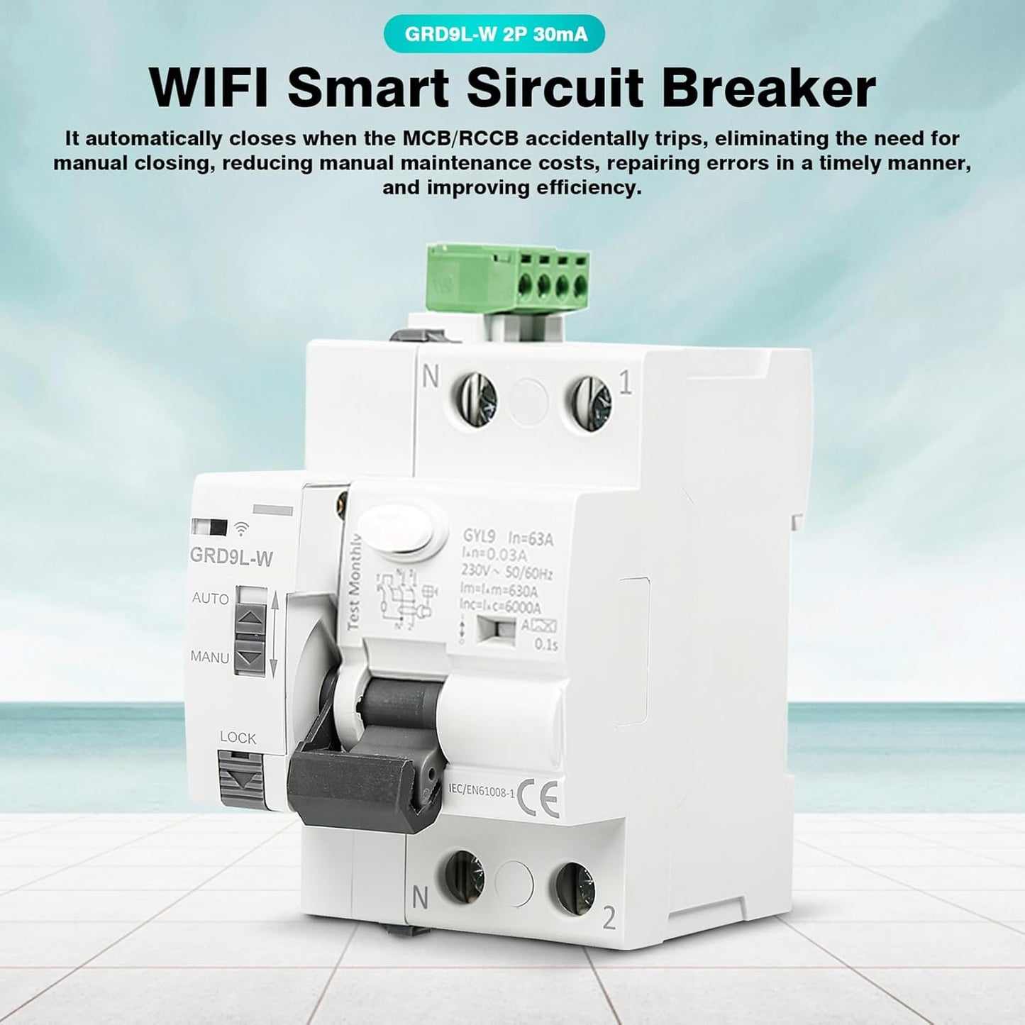 DEWIN FI Circuit Breaker, GRD9L-W Smart WiFi Circuit Breaker Manual/APP Remote Control Smart Switch 2P 63A 30mA AC 230V