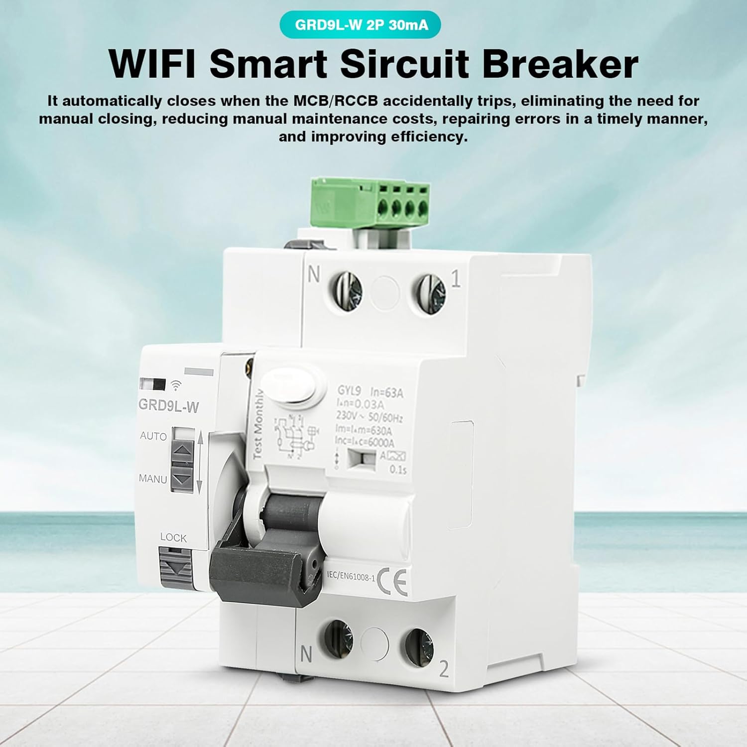 DEWIN FI Circuit Breaker, GRD9L-W Smart WiFi Circuit Breaker Manual/APP Remote Control Smart Switch 2P 63A 30mA AC 230V