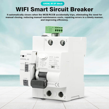 DEWIN FI Circuit Breaker, GRD9L-W Smart WiFi Circuit Breaker Manual/APP Remote Control Smart Switch 2P 63A 30mA AC 230V