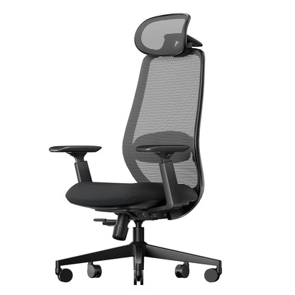 Scaun ergonomic birou EC200 ProtoArc cu suport lombar 2D si tetiera 3D