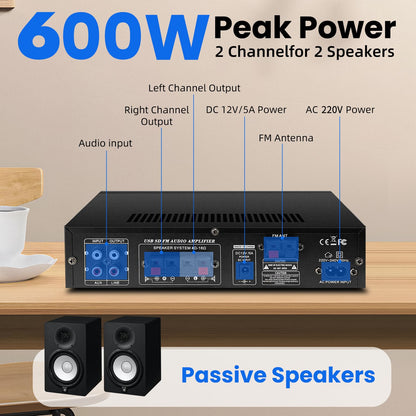 1000 W Mini Amplifier Hi-Fi Bluetooth 5.0 RMS 2 x 60 W Speaker 2 Channel Stereo Amplifier, Portable FM Radio, SD Card/USB Input/FM Radio, for Home Speakers or Your Car