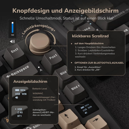 RK ROYAL KLUDGE M75 Gaming Keyboard Wireless, 75% Percent TKL Mechanical Keyboard, RGB, 2.4GHz Wireless/Bluetooth/USB-C, QWERTZ with OLED Smart Display and Button, Hot-Swappable Brown Switch, Grey