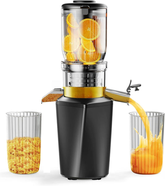 Fyenkfar Juicer Vegetable and Fruit Test Winner - Slow Juicer for More Vitamin and Enzymes, Fruit and Vegetables in Their Purest Form - for Healthy Eating and Family Celebrations (Black)