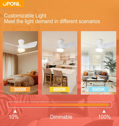 White Ceiling Fan with Light 30inch, Large Air Volume, Ceiling Fans with Lights for Bedroom Kitchen Dining room Patio