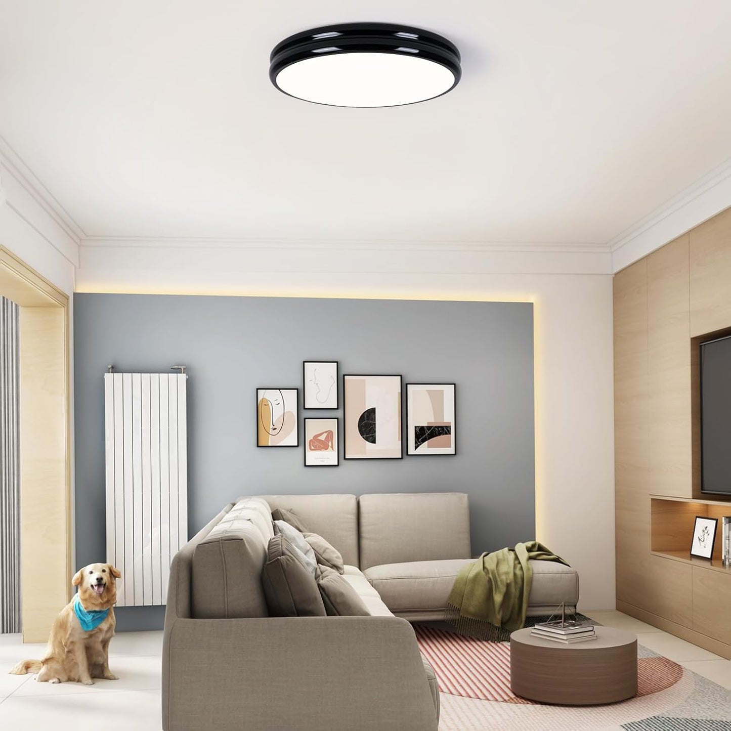 Modern Black LED Ceiling Light, 40cm Round, 36W, 4000K for Kitchen, Bedroom, Living Room, Hall, Bathroom