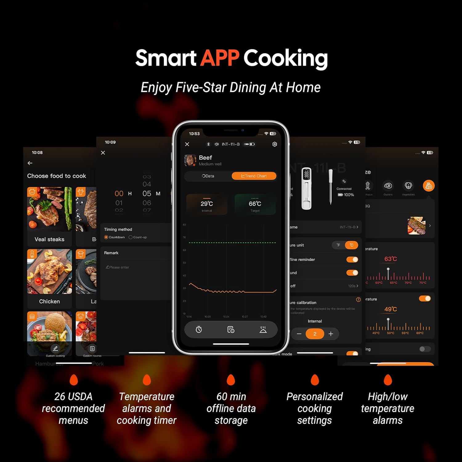 INKBIRD Wireless Meat Thermometer, Bluetooth Meat Thermometer Probe with Temperature Alarm, IP67 Waterproof, Ideal for Kitchen, BBQ, Smoker & Air Fryers