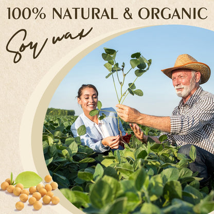 Ceara naturala de soia Waxcanpy pentru lumanari, 20lb