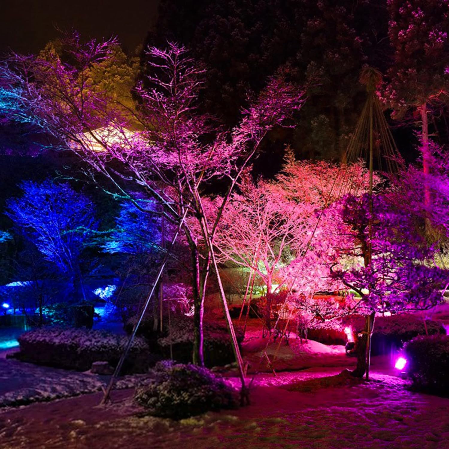 RGB LED Spotlight Outdoor 80 W Bluetooth App Control Floodlight Outdoor 2700 K & Million Colours Dimmable Smart Floodlight IP66 Waterproof Outdoor Floodlight Garden Mood Lights 1